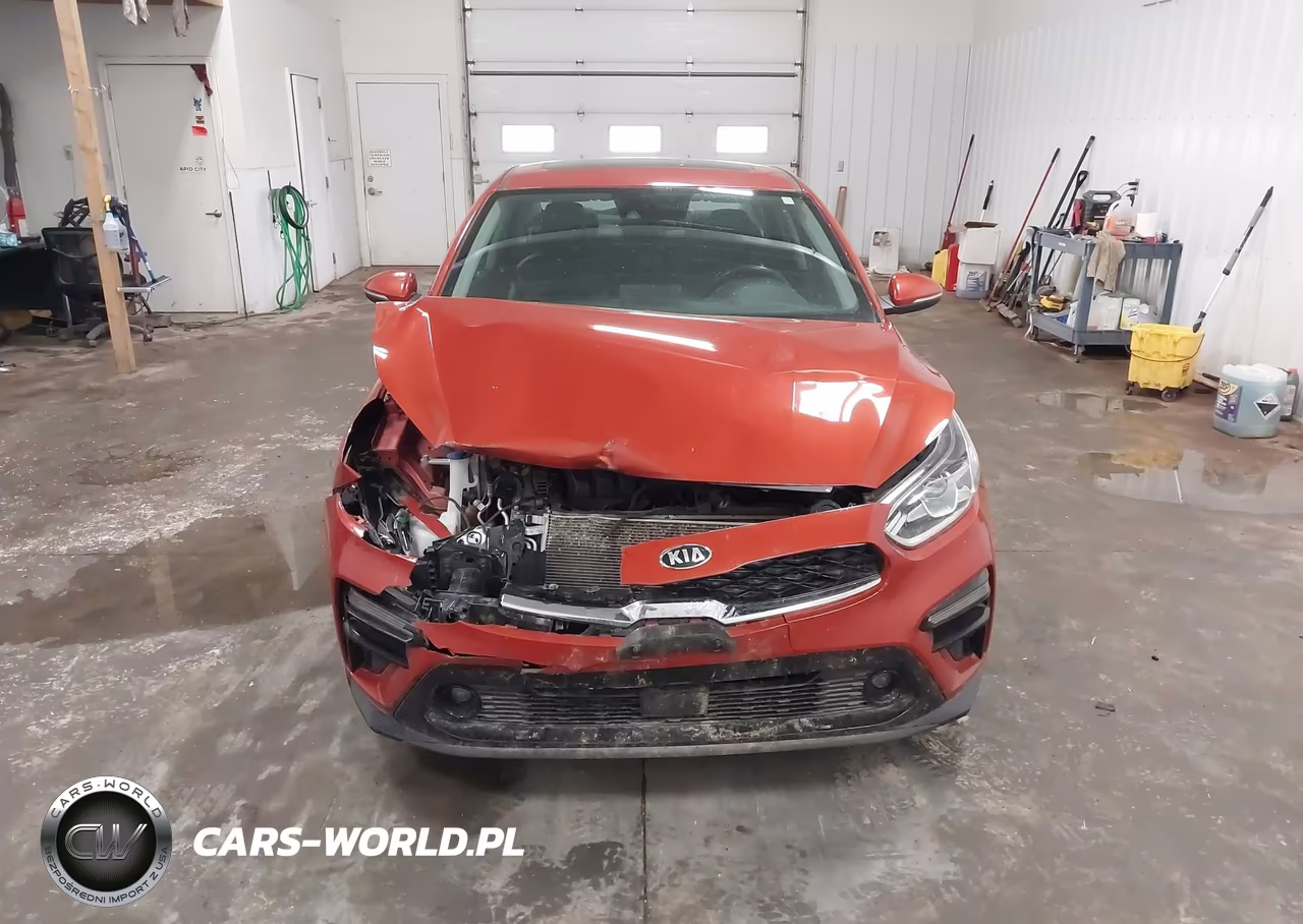 2019 Kia Forte Ex VIN:3KPF54AD8KE069064 - 12