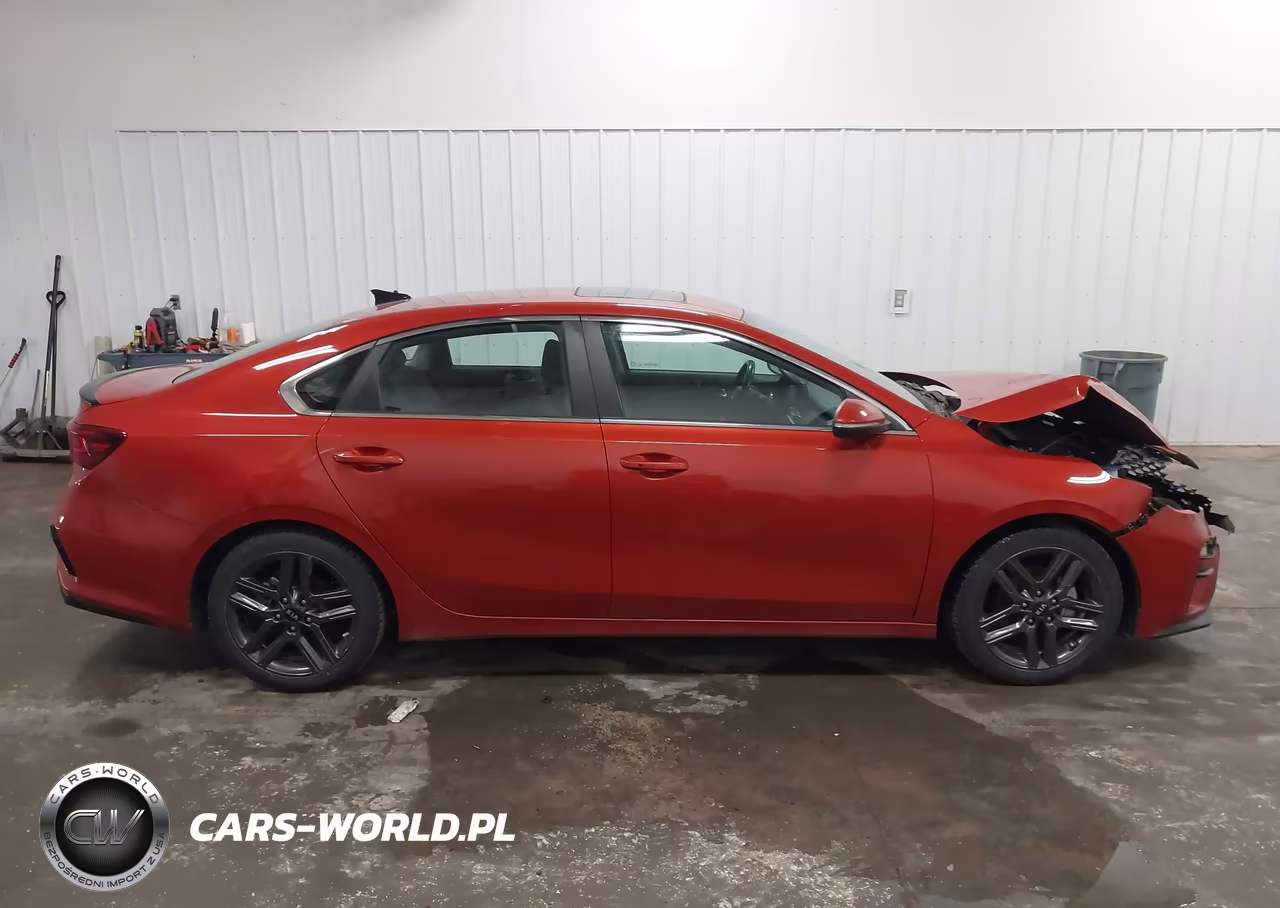 2019 Kia Forte Ex VIN:3KPF54AD8KE069064 - 13
