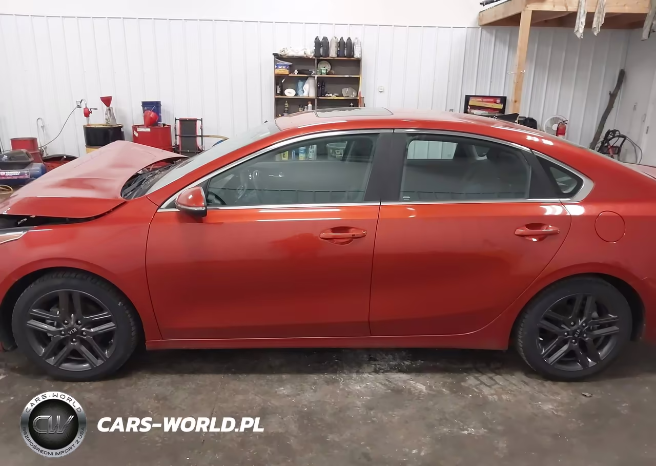 2019 Kia Forte Ex VIN:3KPF54AD8KE069064 - 14