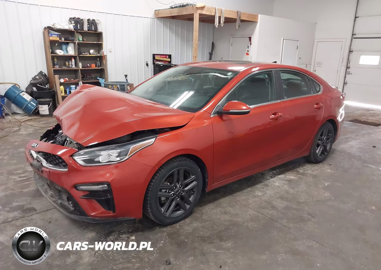 2019 Kia Forte Ex VIN:3KPF54AD8KE069064 - 2