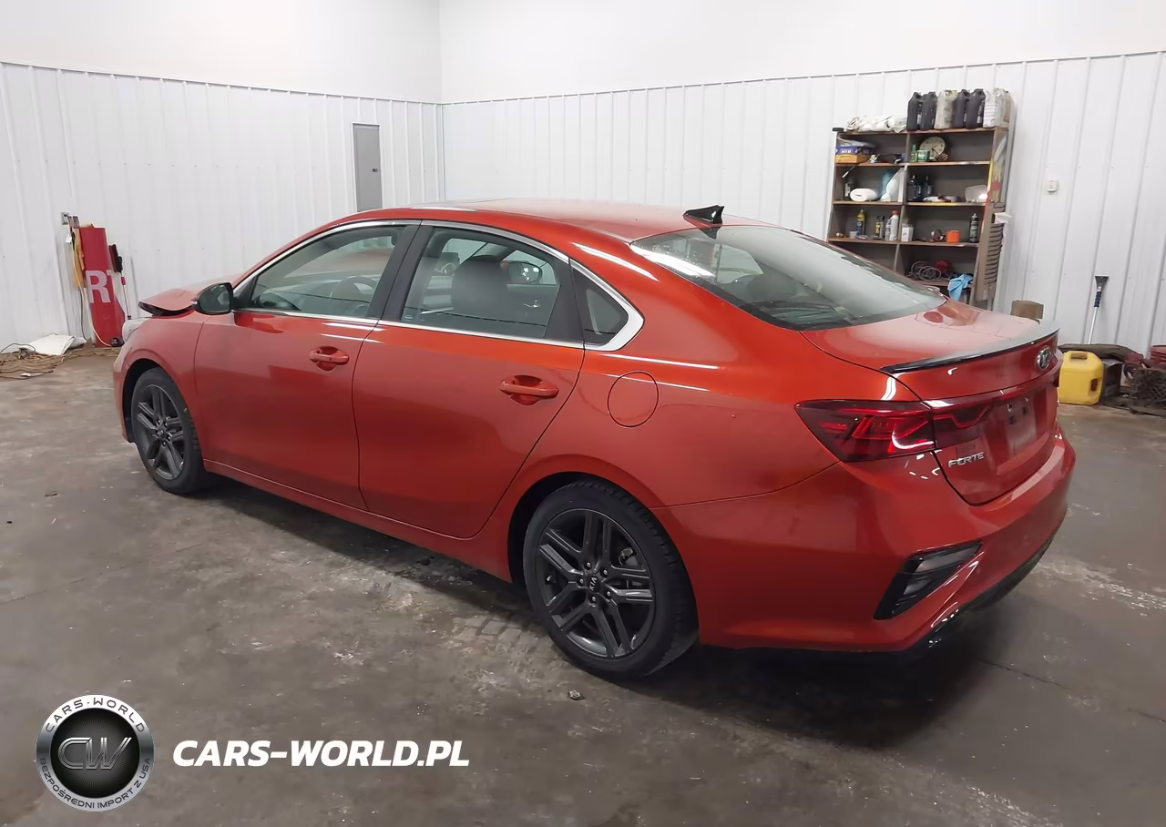 2019 Kia Forte Ex VIN:3KPF54AD8KE069064 - 3