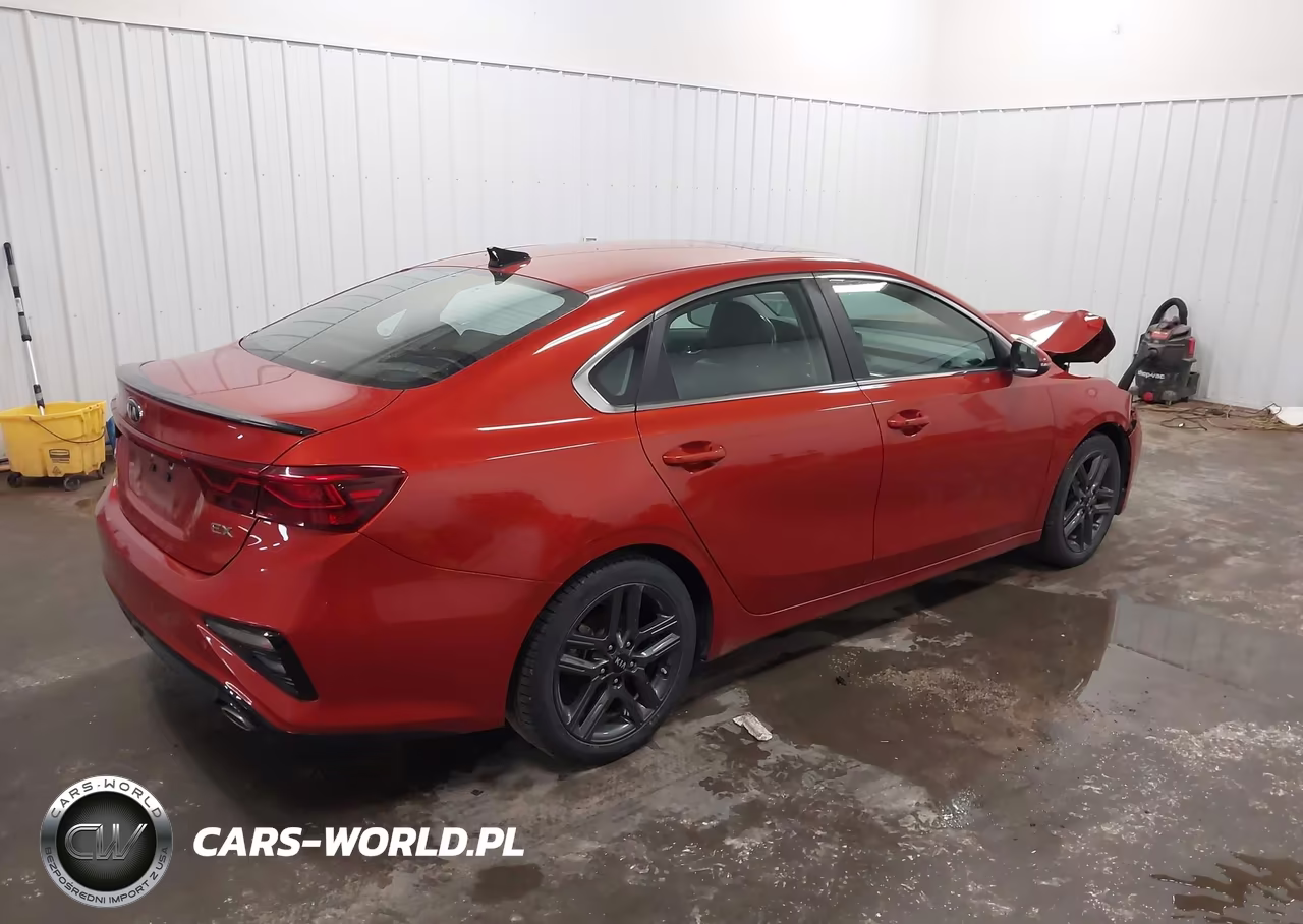2019 Kia Forte Ex VIN:3KPF54AD8KE069064 - 4