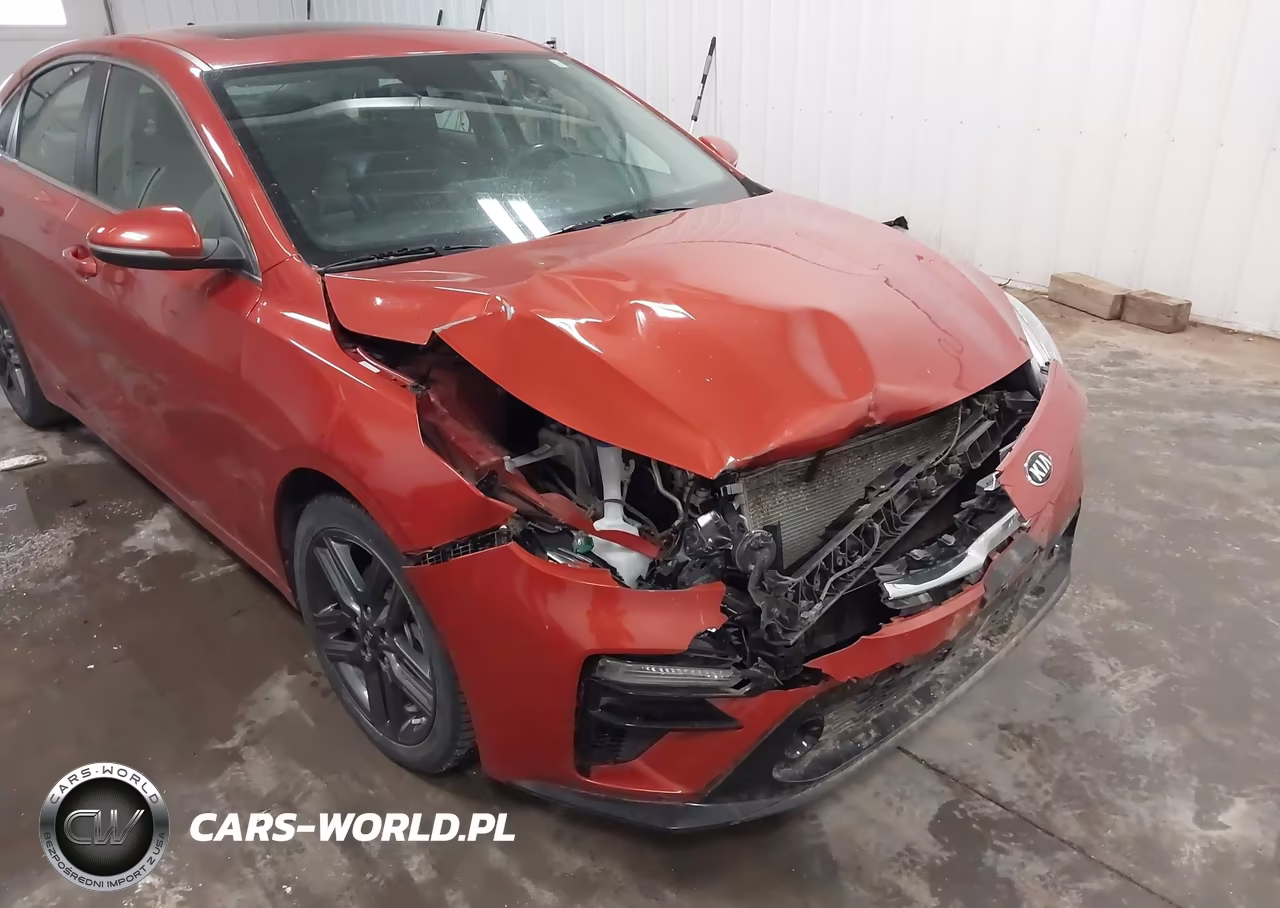 2019 Kia Forte Ex VIN:3KPF54AD8KE069064 - 6