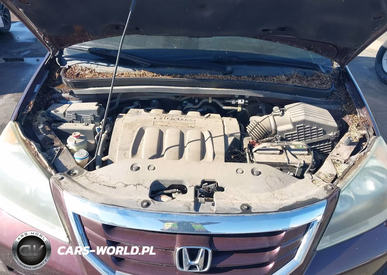 2010 Honda Odyssey Lx VIN:5FNRL3H25AB005073 - 10