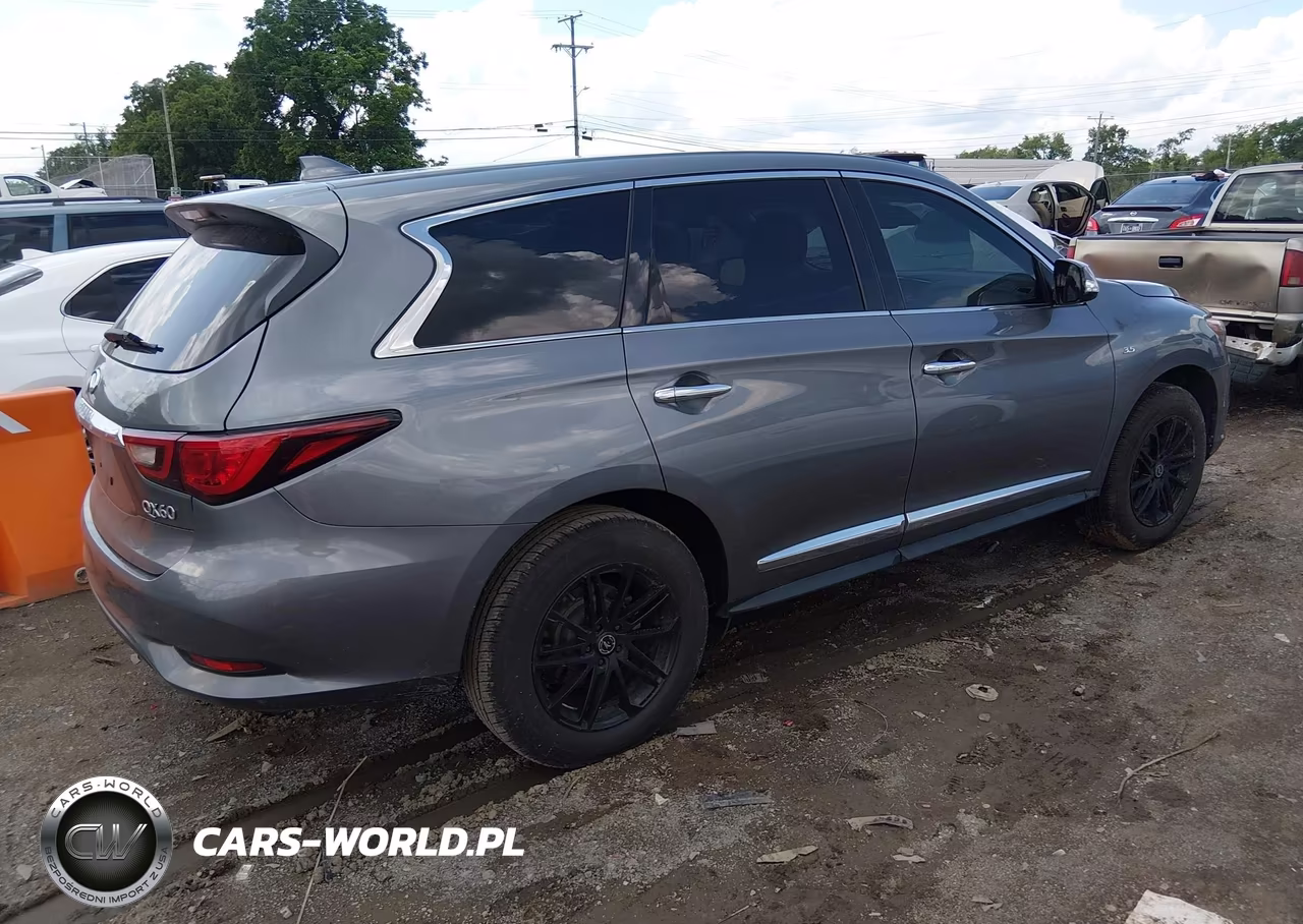 2020 Infiniti Qx60 Pure VIN:5N1DL0MN5LC514522 - 4