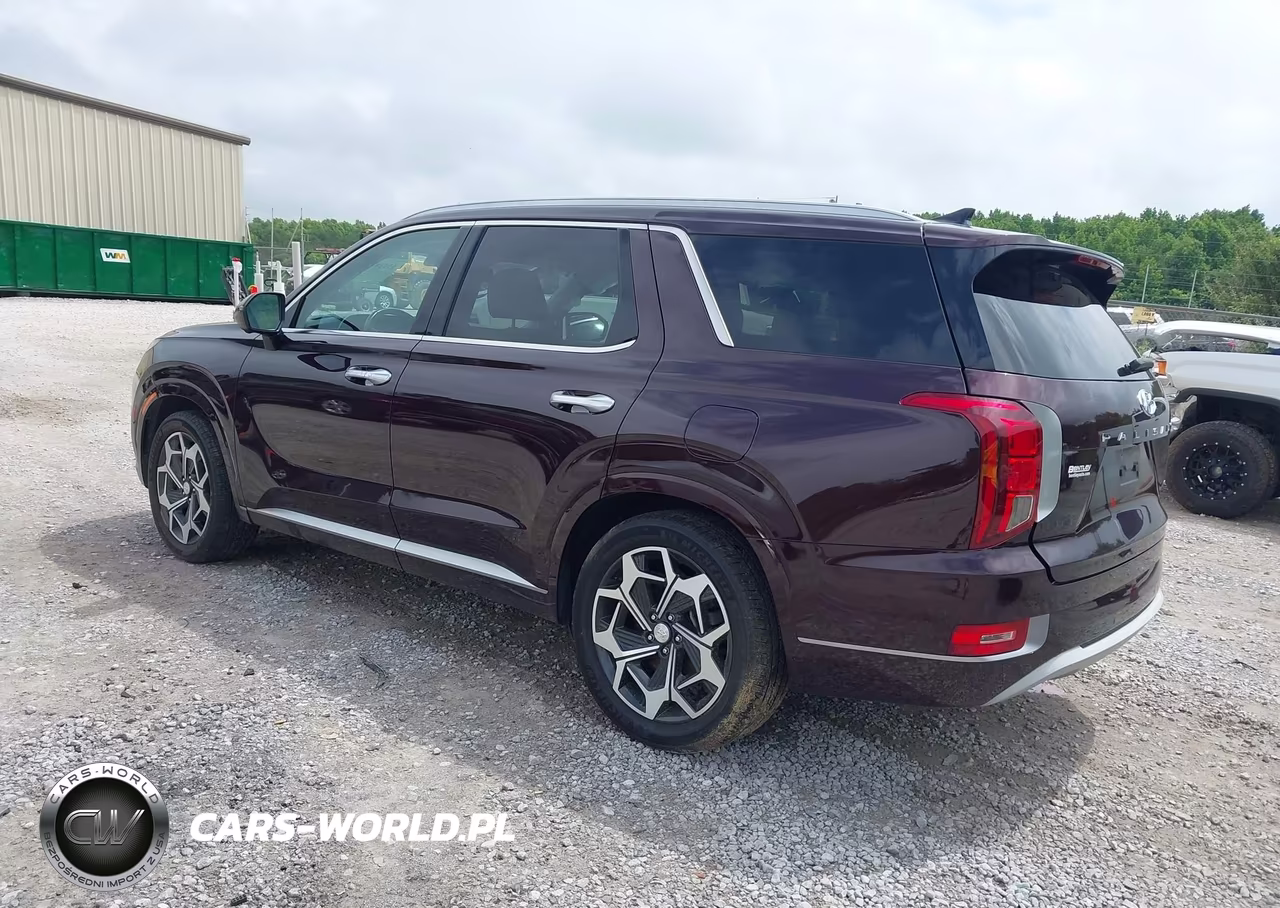 2022 Hyundai Palisade Limited VIN:KM8R54HE2NU376209 - 3