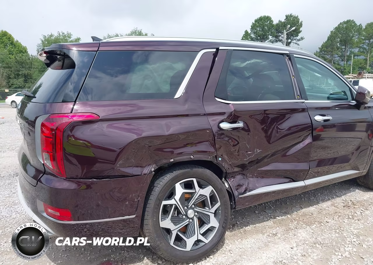 2022 Hyundai Palisade Limited VIN:KM8R54HE2NU376209 - 6