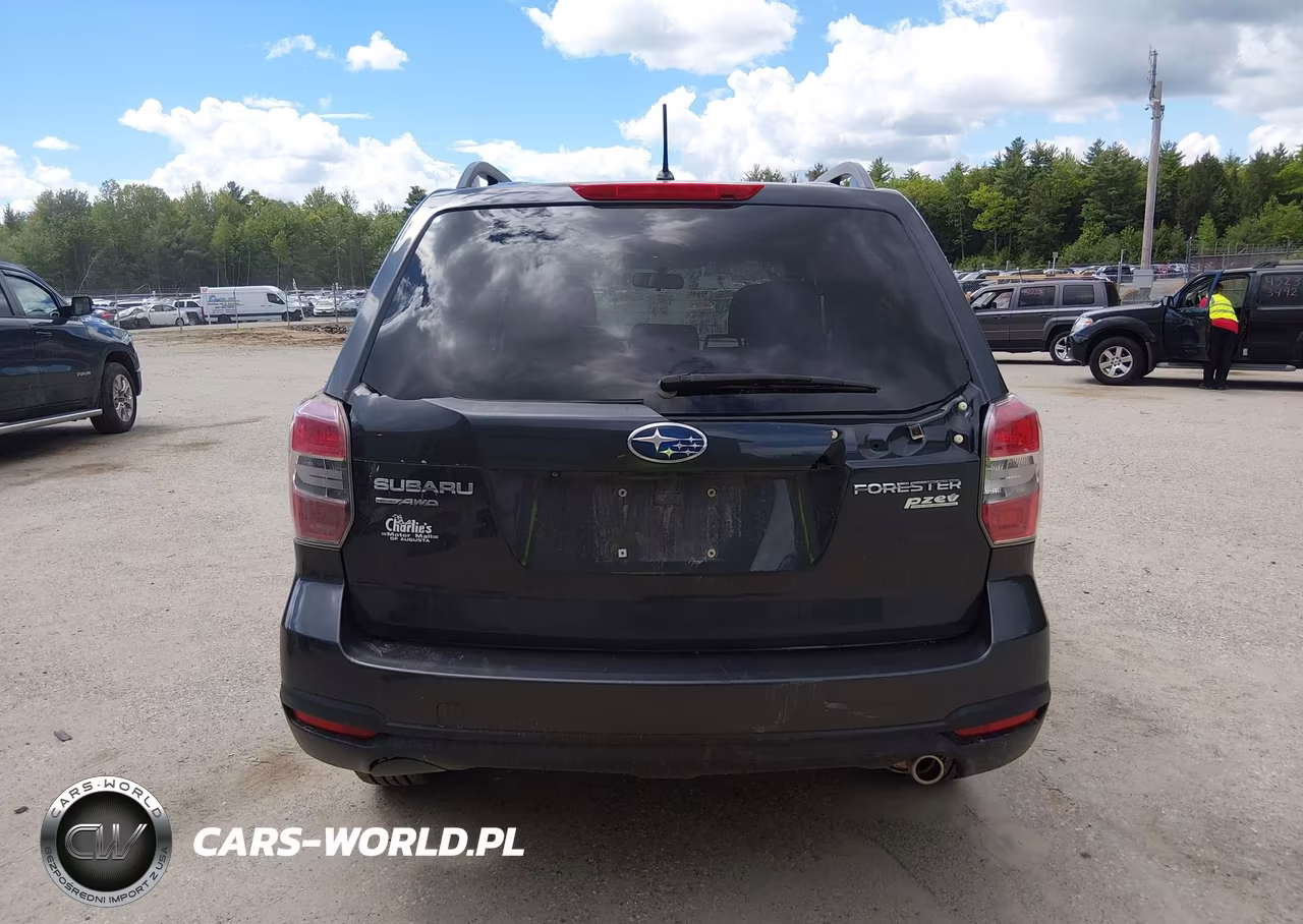 2015 Subaru Forester 2.5I Premium VIN:JF2SJADC4FH556923 - 17