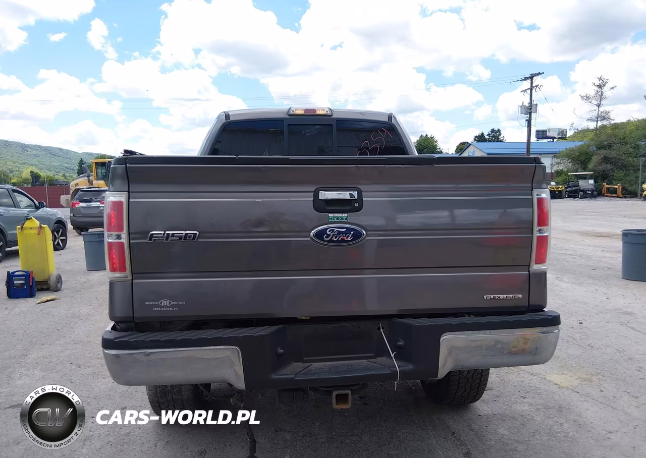 2011 Ford F-150 Xlt VIN:1FTFW1EF6BFA18353 - 16