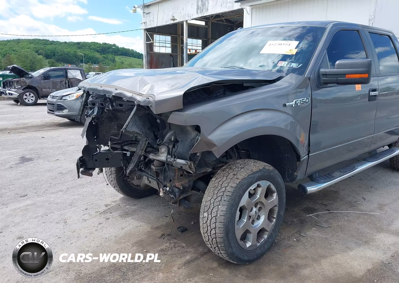 2011 Ford F-150 Xlt VIN:1FTFW1EF6BFA18353 - 18