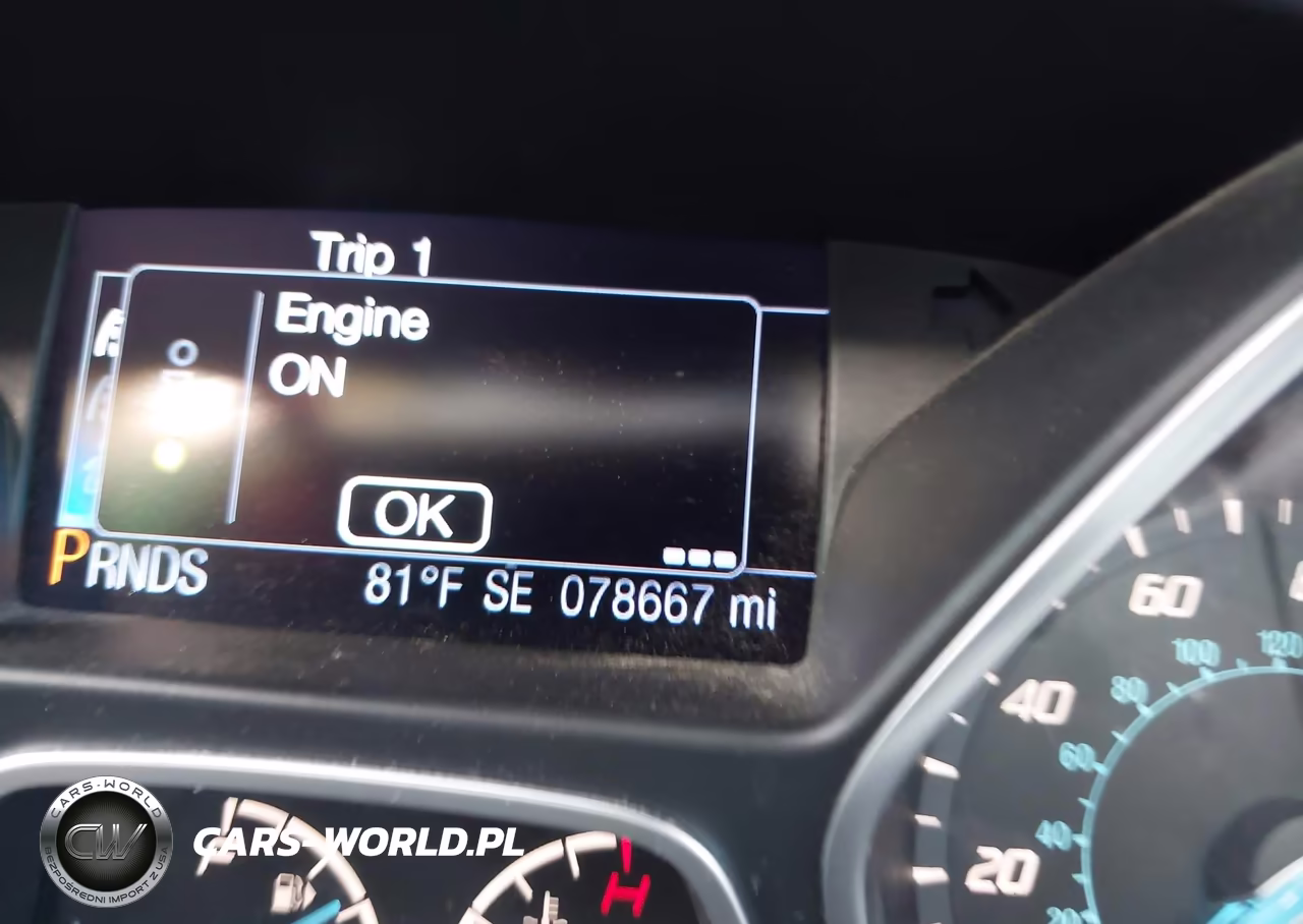2013 Ford Focus Se VIN:1FADP3K28DL259259 - 15