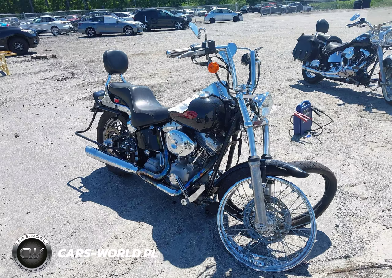 2002 Harley-Davidson Fxst