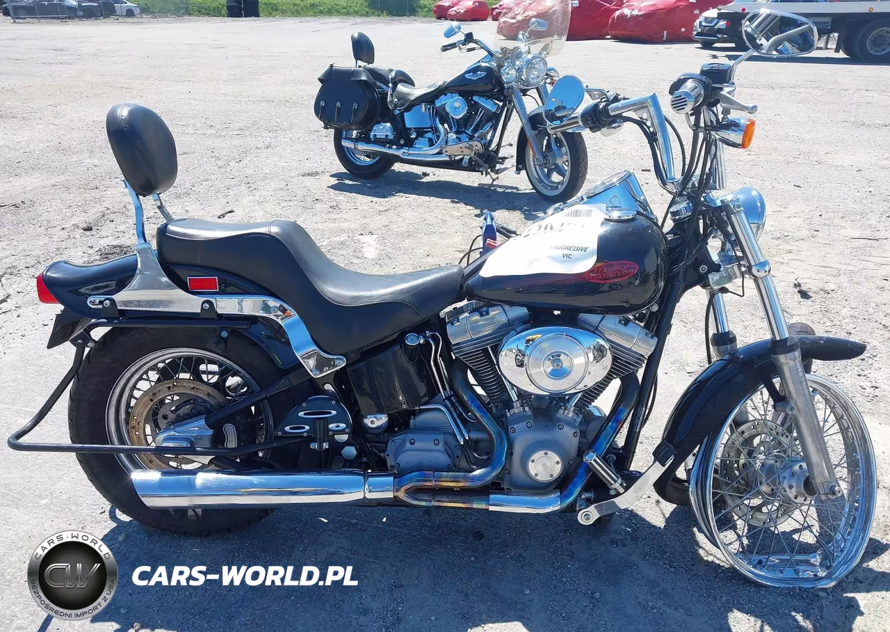 2002 Harley-Davidson Fxst VIN:1HD1BHY182Y035429 - 11