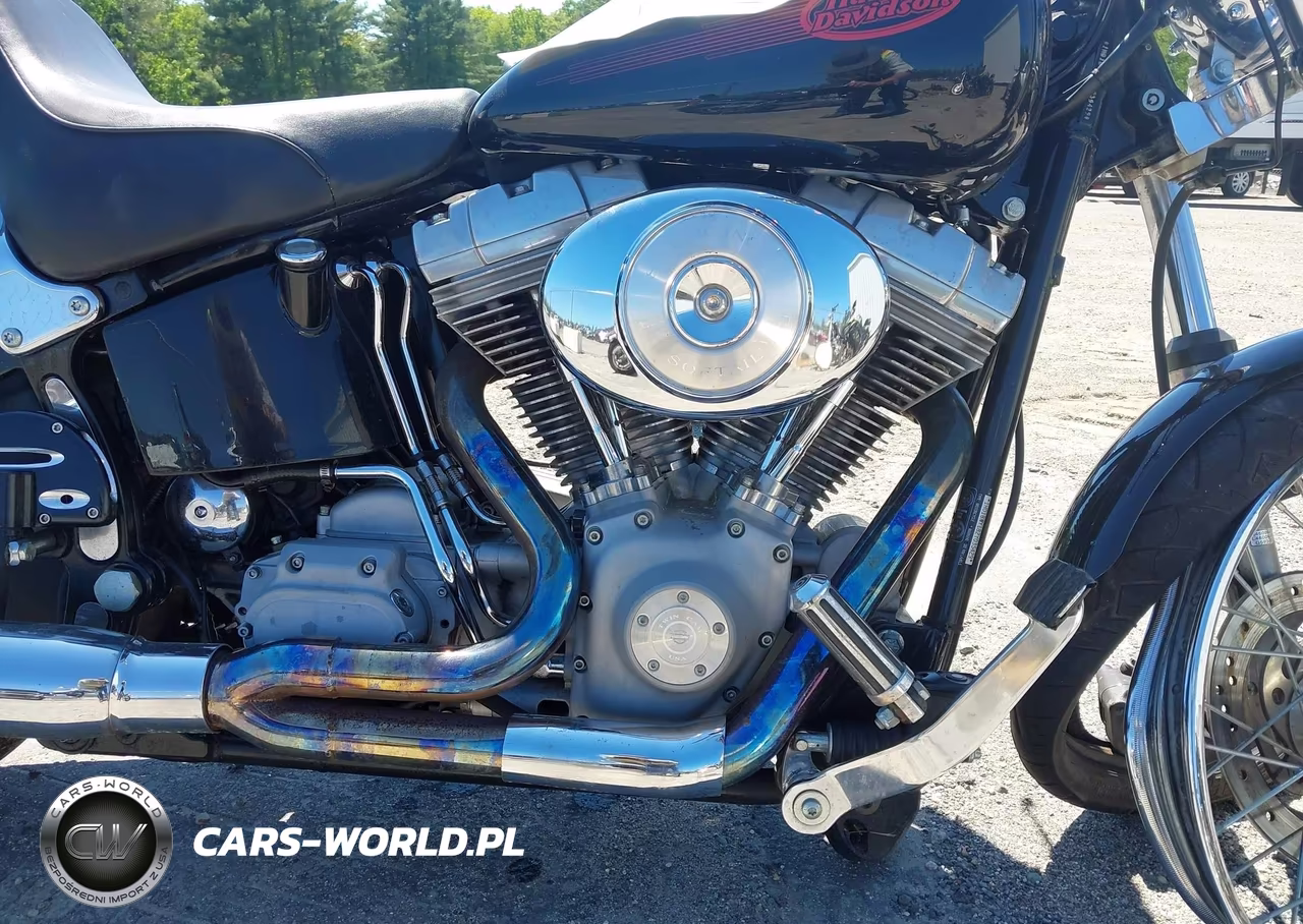2002 Harley-Davidson Fxst VIN:1HD1BHY182Y035429 - 8