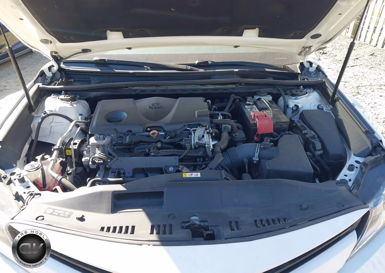 2020 Toyota Camry Le VIN:4T1C11AK9LU901411 - 10