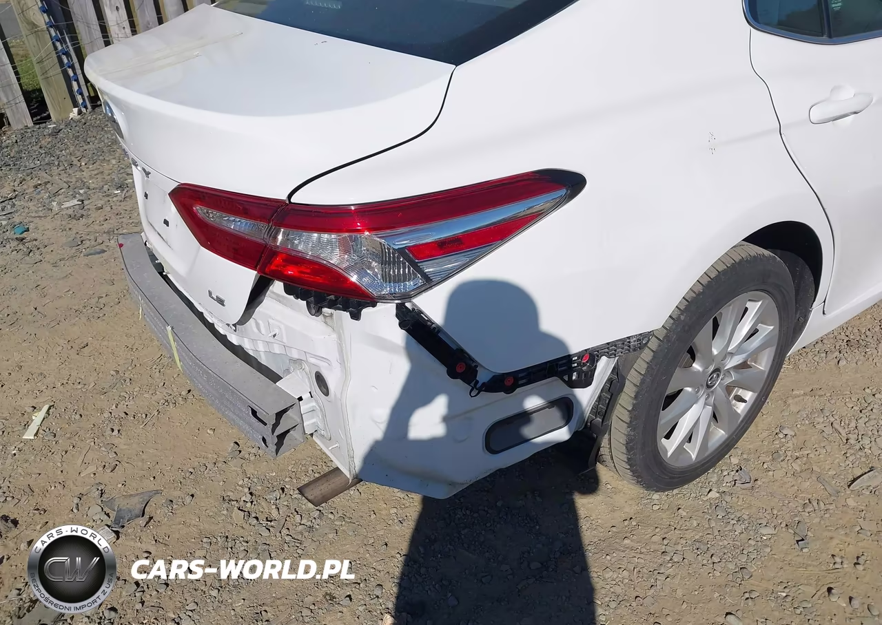 2020 Toyota Camry Le VIN:4T1C11AK9LU901411 - 18