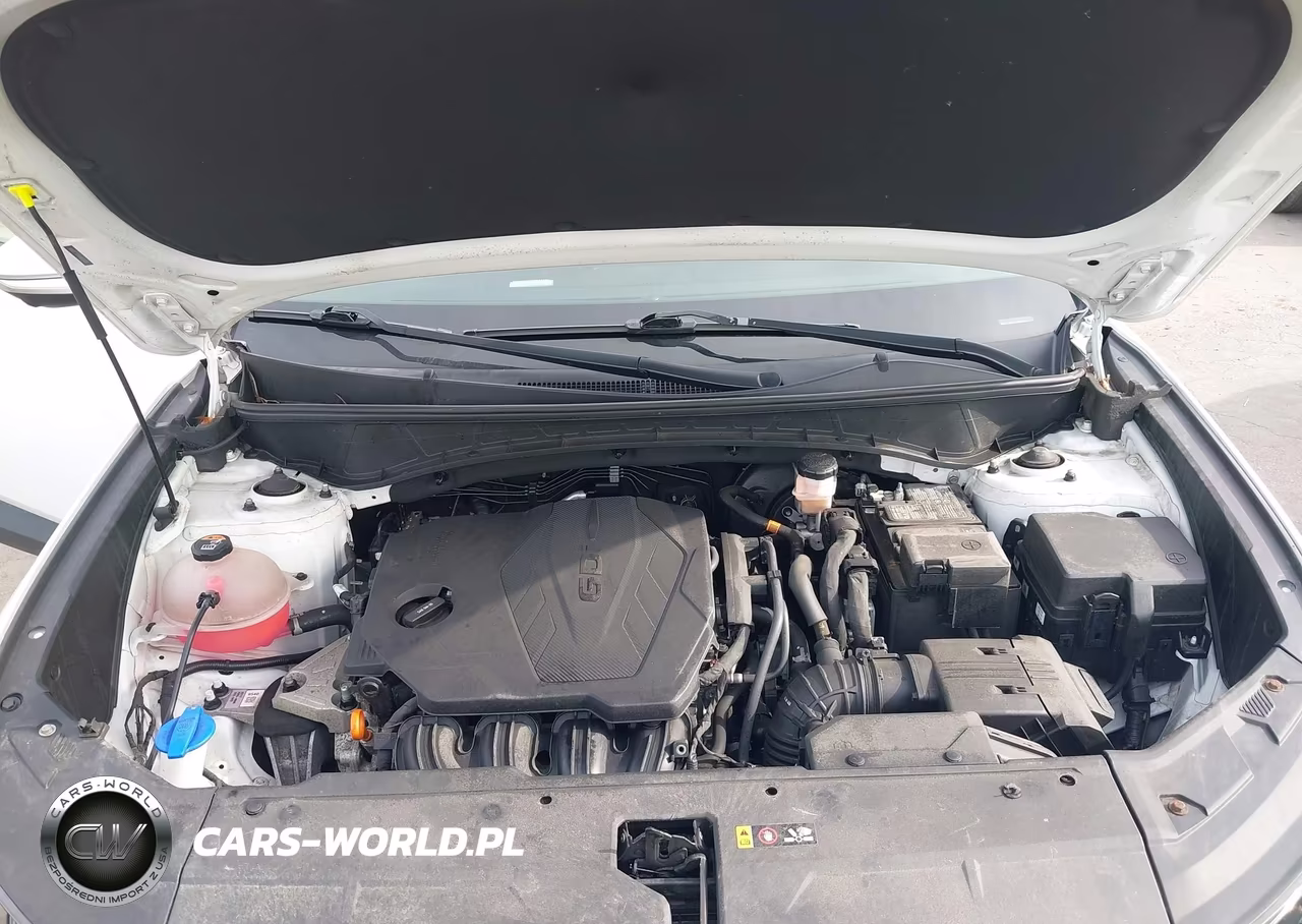 2022 Hyundai Tucson Limited VIN:5NMJECAE4NH036346 - 10