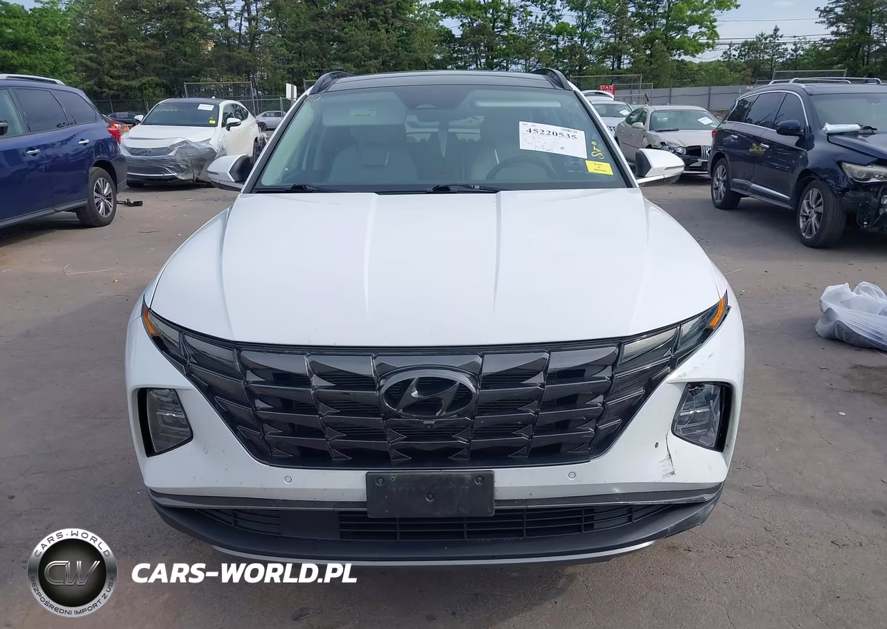 2022 Hyundai Tucson Limited VIN:5NMJECAE4NH036346 - 13
