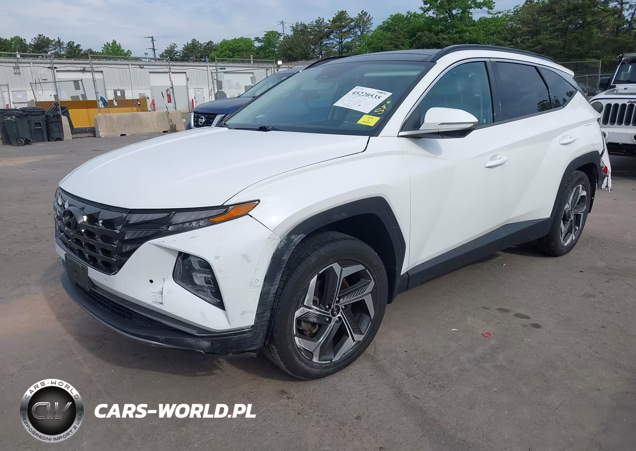 2022 Hyundai Tucson Limited VIN:5NMJECAE4NH036346 - 2