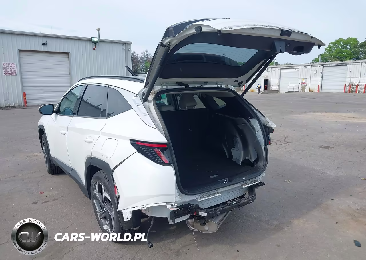 2022 Hyundai Tucson Limited VIN:5NMJECAE4NH036346 - 3
