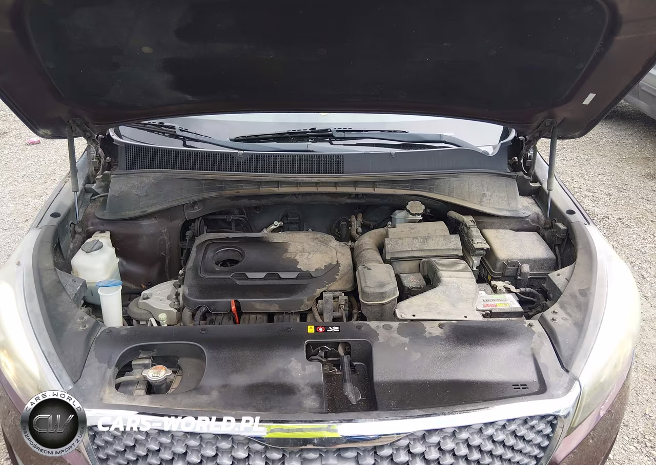 2018 Kia Sorento 2.4L Lx VIN:5XYPG4A39JG376511 - 10