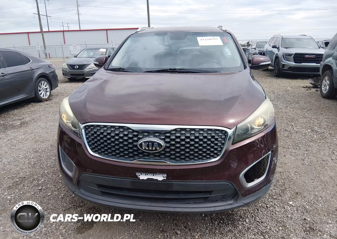 2018 Kia Sorento 2.4L Lx VIN:5XYPG4A39JG376511 - 13