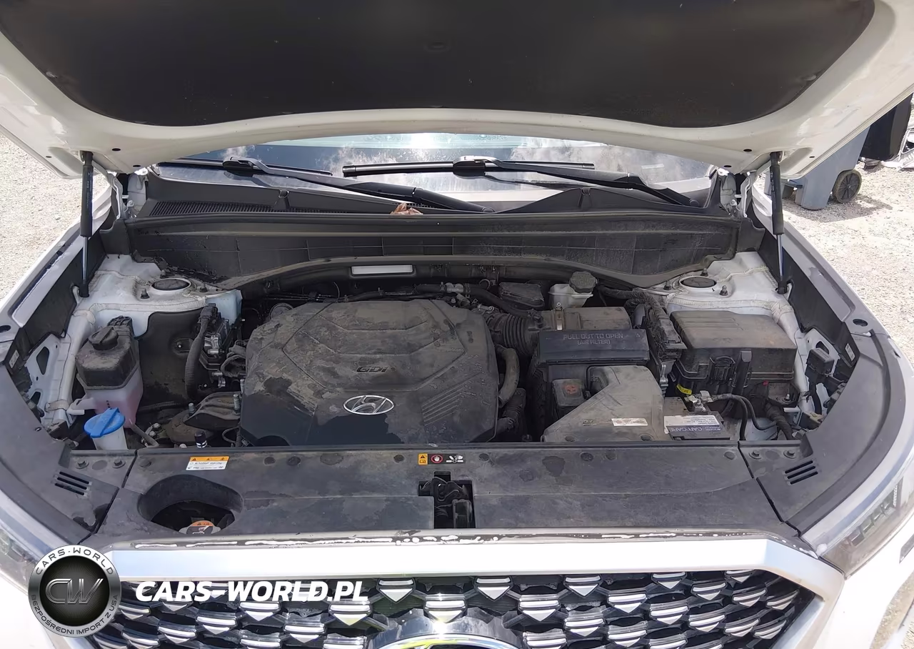 2021 Hyundai Palisade Calligraphy VIN:KM8R7DHE0MU278840 - 10