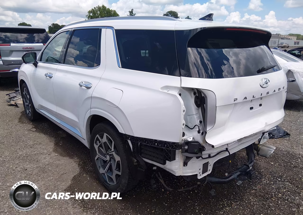 2021 Hyundai Palisade Calligraphy VIN:KM8R7DHE0MU278840 - 3