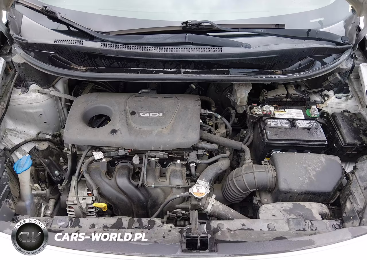2016 Kia Rio Lx VIN:KNADM4A34G6691155 - 10