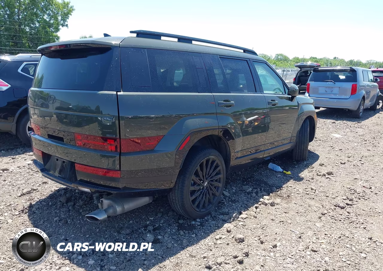 2024 Hyundai Santa Fe Calligraphy VIN:5NMP5DGLXRH044348 - 4