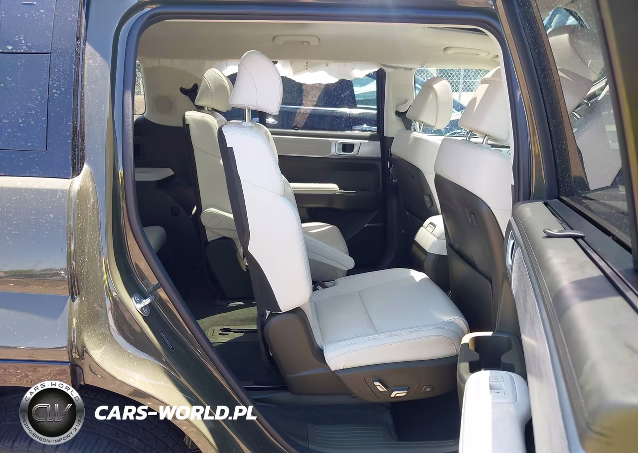 2024 Hyundai Santa Fe Calligraphy VIN:5NMP5DGLXRH044348 - 8