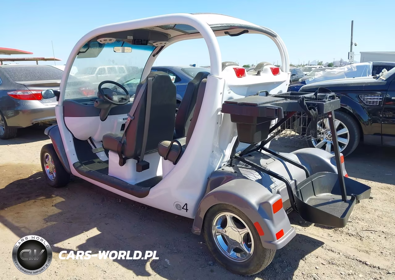 2005 Global Electric Motors 825 VIN:5ASAG47465F038106 - 3