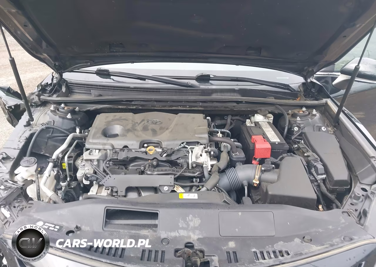 2019 Toyota Camry Se VIN:4T1B11HK0KU806719 - 10