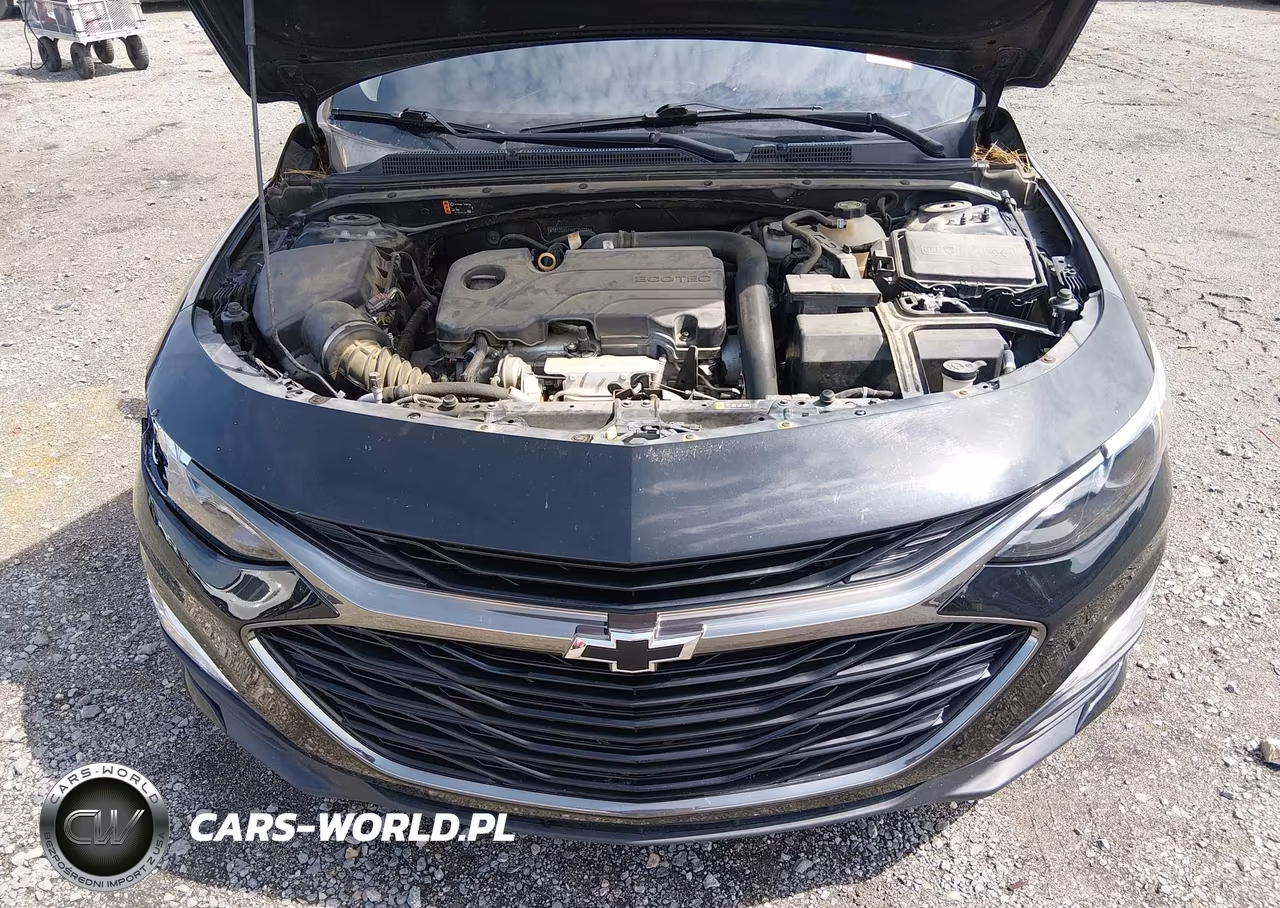2019 Chevrolet Malibu Rs VIN:1G1ZG5ST4KF201285 - 10