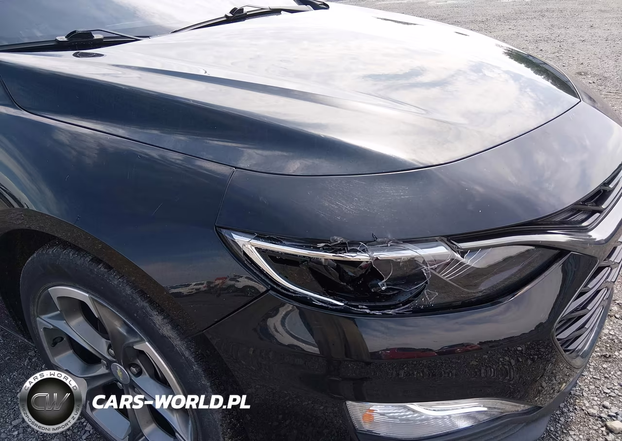 2019 Chevrolet Malibu Rs VIN:1G1ZG5ST4KF201285 - 20