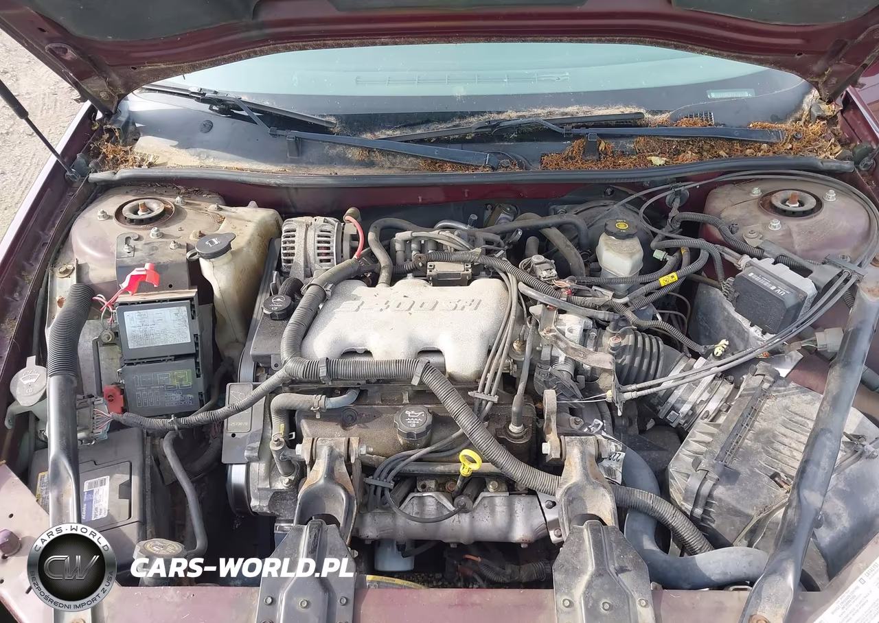2004 Chevrolet Impala VIN:2G1WF52E749453096 - 10