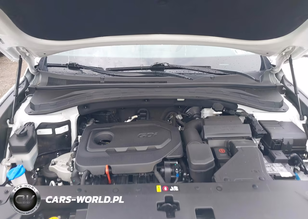 2020 Hyundai Santa Fe Sel VIN:5NMS3CAD1LH181262 - 10