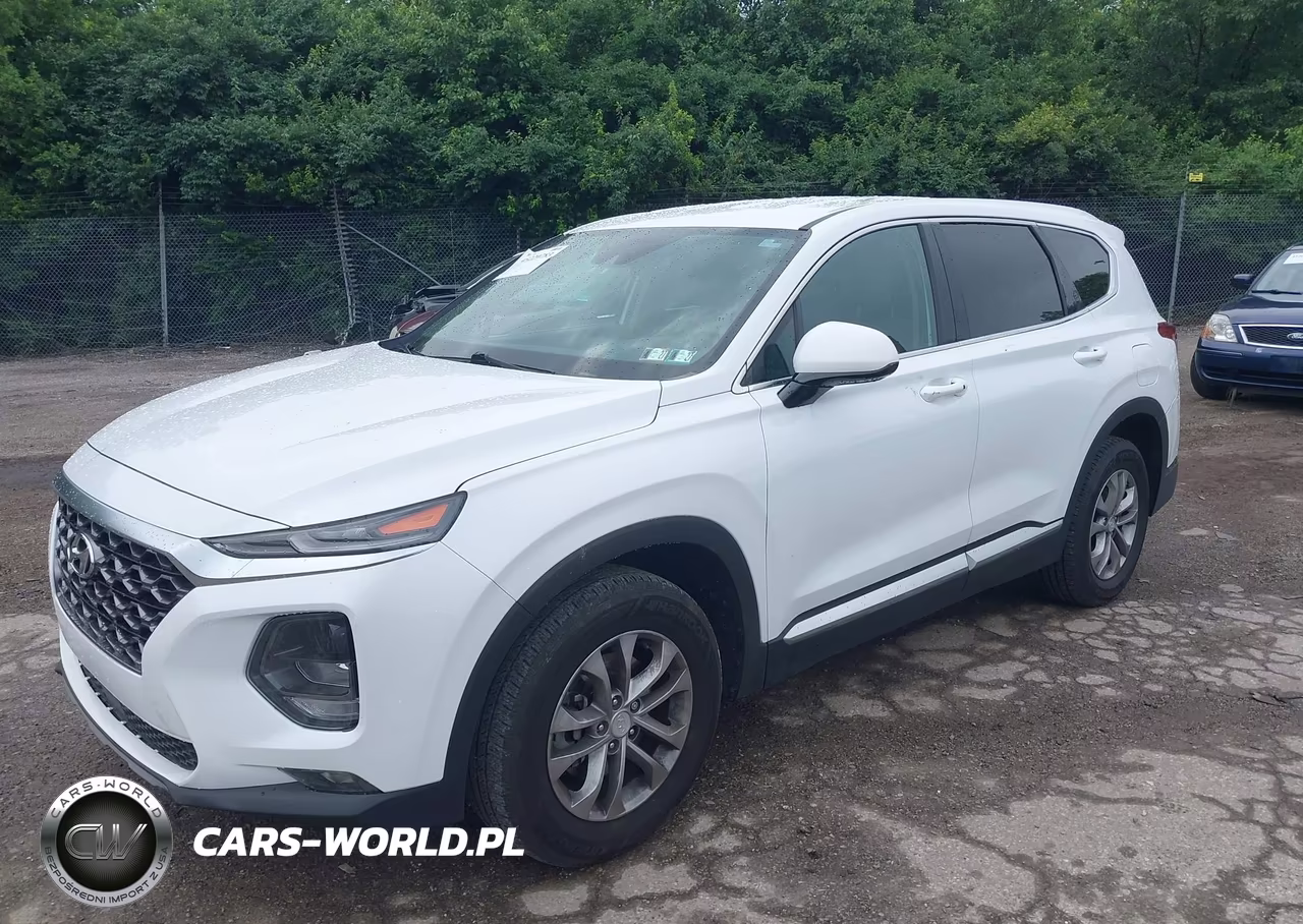 2020 Hyundai Santa Fe Sel VIN:5NMS3CAD1LH181262 - 2