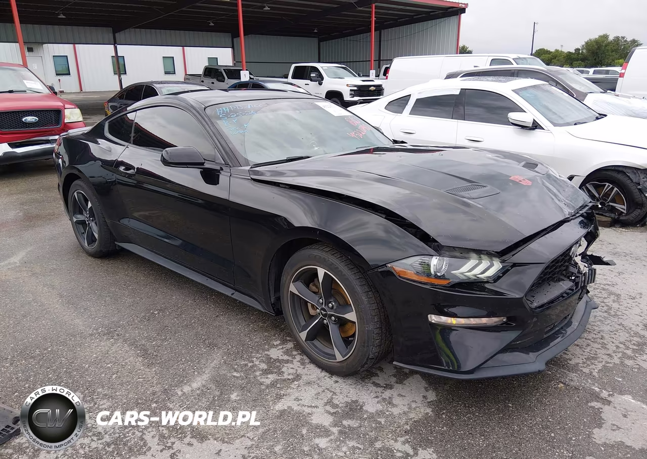 2019 Ford Mustang Ecoboost