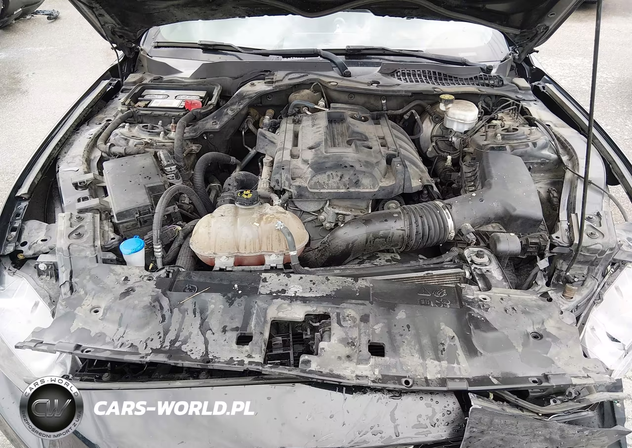 2019 Ford Mustang Ecoboost VIN:1FA6P8TH8K5161827 - 10