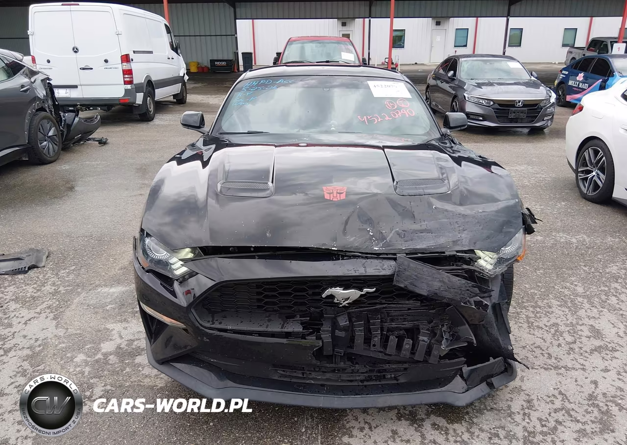 2019 Ford Mustang Ecoboost VIN:1FA6P8TH8K5161827 - 12