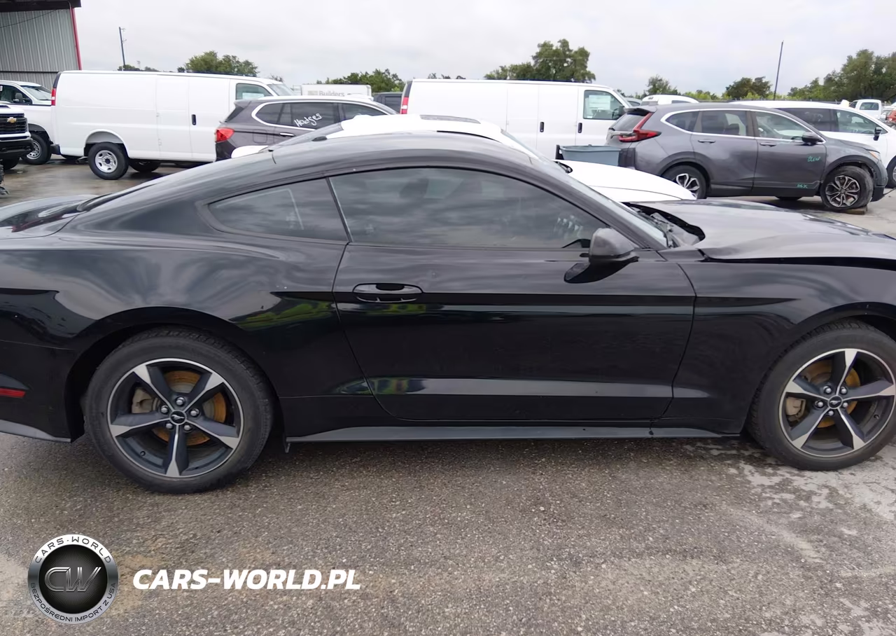 2019 Ford Mustang Ecoboost VIN:1FA6P8TH8K5161827 - 13