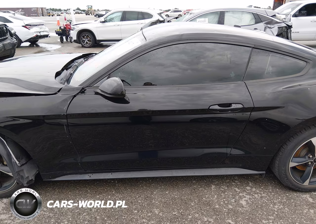 2019 Ford Mustang Ecoboost VIN:1FA6P8TH8K5161827 - 14