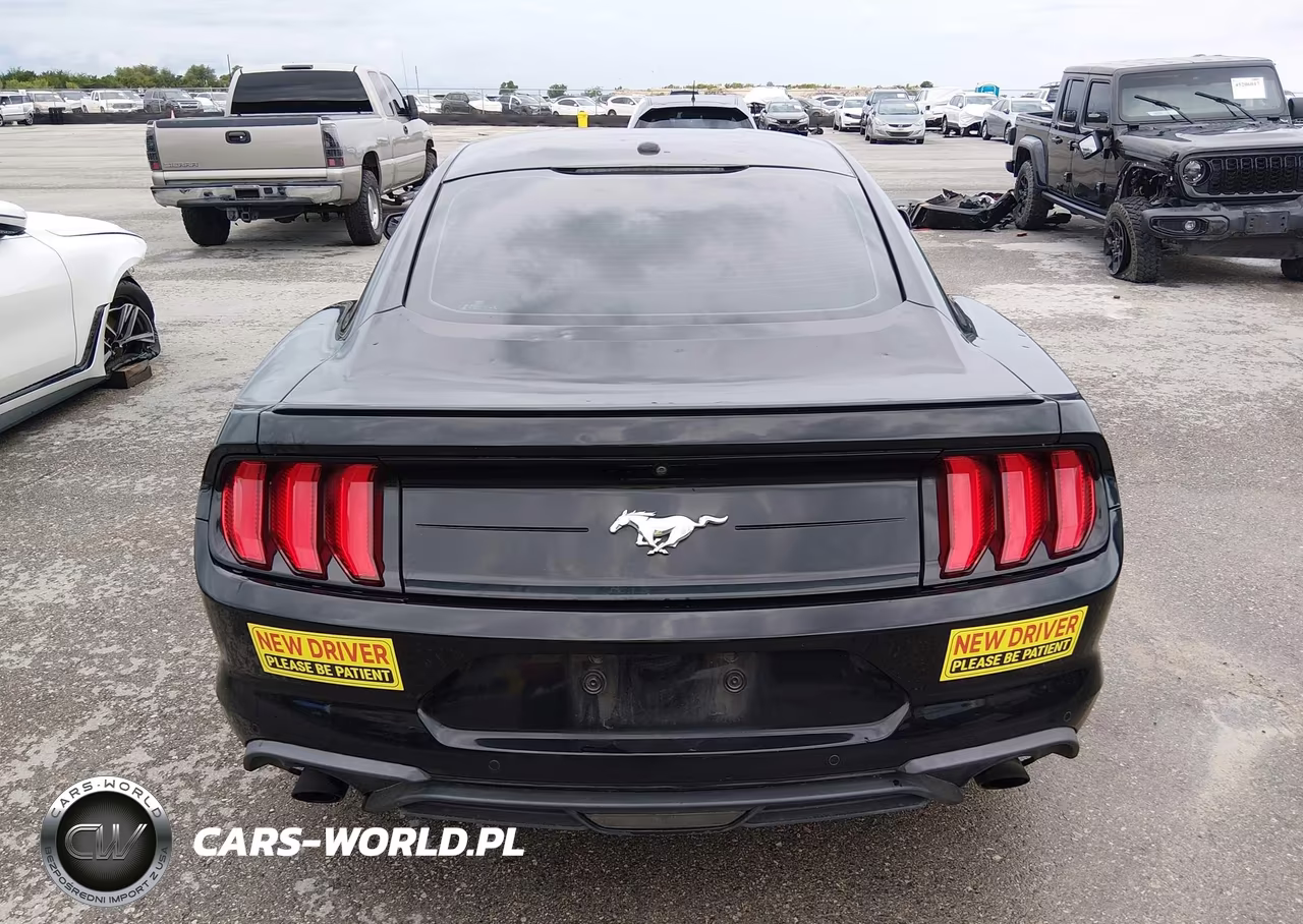 2019 Ford Mustang Ecoboost VIN:1FA6P8TH8K5161827 - 16