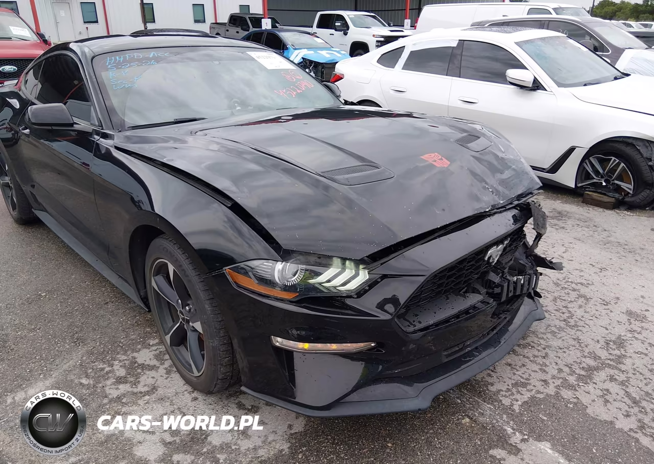 2019 Ford Mustang Ecoboost VIN:1FA6P8TH8K5161827 - 17