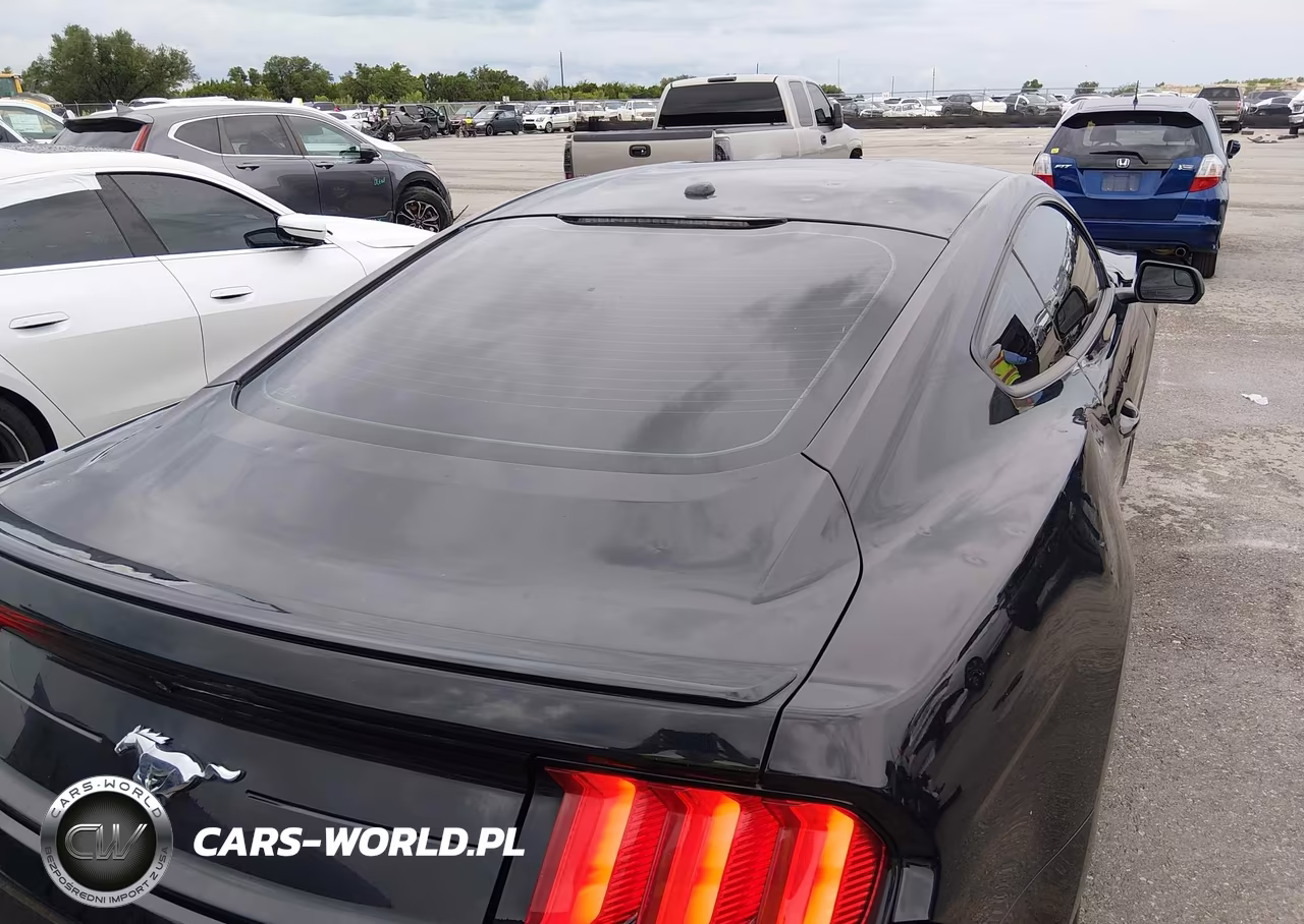 2019 Ford Mustang Ecoboost VIN:1FA6P8TH8K5161827 - 19