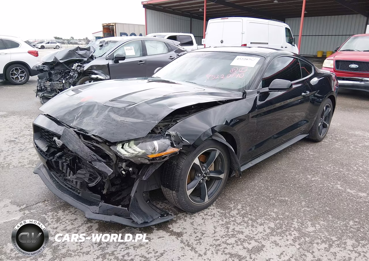 2019 Ford Mustang Ecoboost VIN:1FA6P8TH8K5161827 - 2
