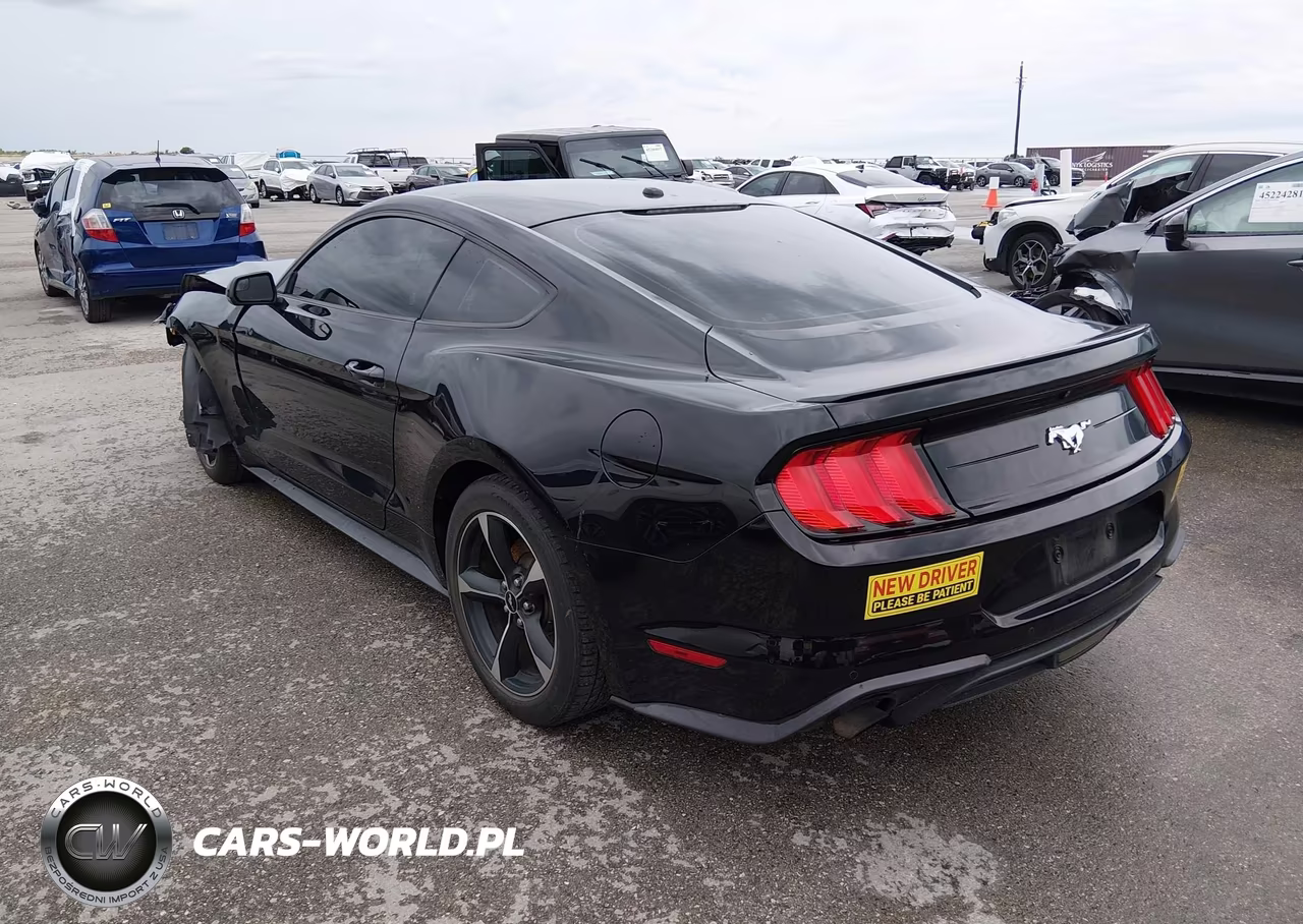 2019 Ford Mustang Ecoboost VIN:1FA6P8TH8K5161827 - 3
