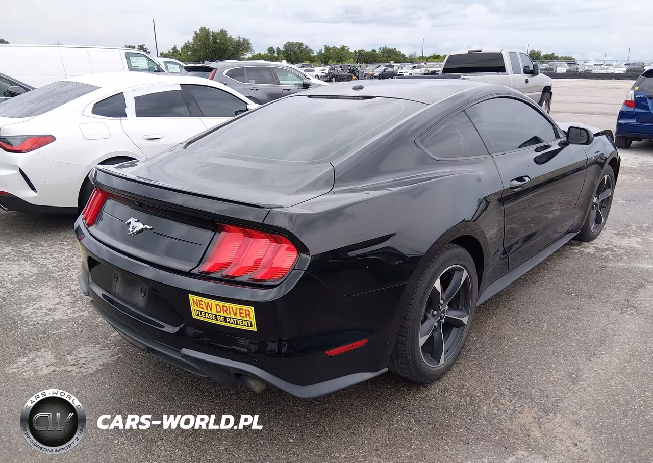 2019 Ford Mustang Ecoboost VIN:1FA6P8TH8K5161827 - 4