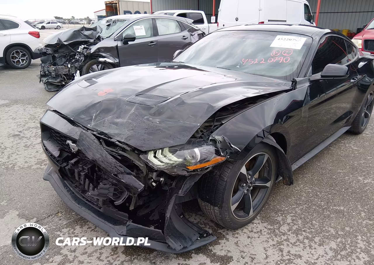 2019 Ford Mustang Ecoboost VIN:1FA6P8TH8K5161827 - 6